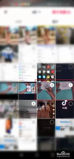 抖音怎么分享视频?详细教程和技巧解析