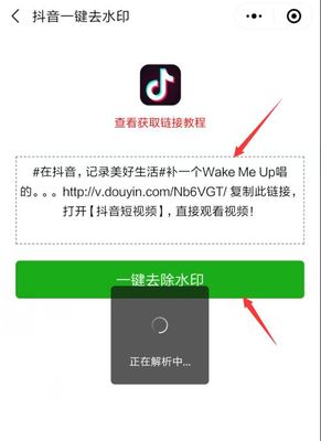 怎么抖音去水印,让你的视频轻松纯净