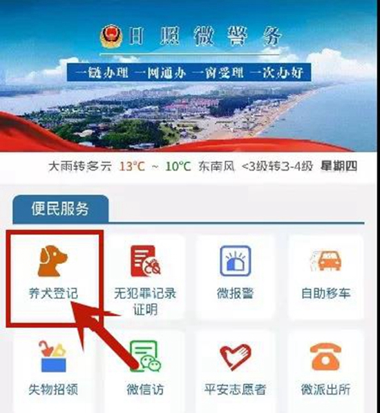 视频号直播如何举报成功?掌握这些技巧轻松处理违规内容!