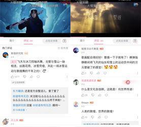 如何看视频号转发,轻松提升你的社交影响力