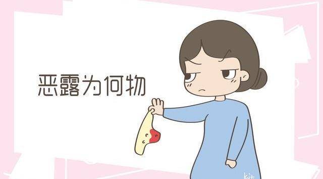 快手怎么看回放?轻松掌握回放技巧,畅享精彩瞬间!