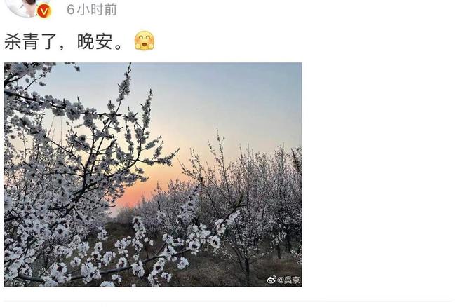 怎么拍抖音:新手必看的超全攻略