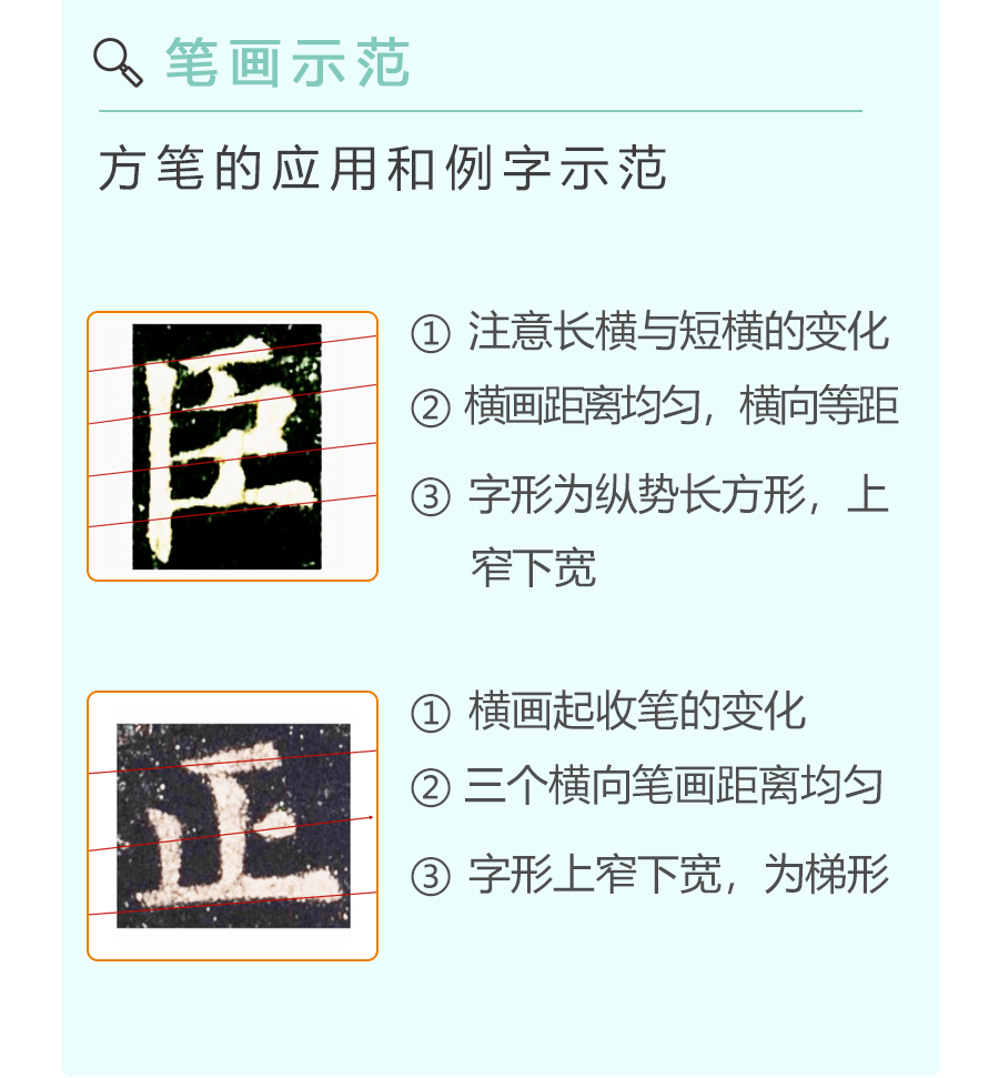 抖音怎么更新最新版本?轻松几步带你快速掌握!