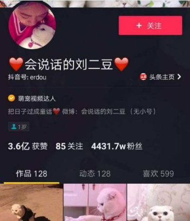 个人抖音如何提升自我价值,实现变现梦想