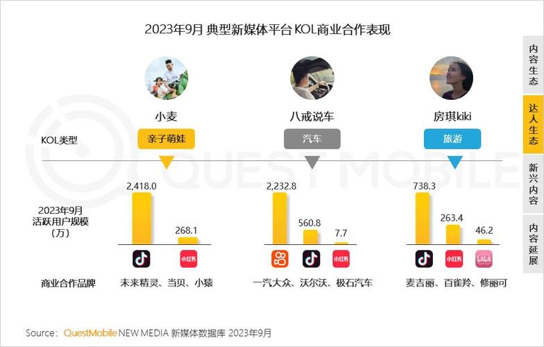 快手加粉平台,行业生态解析与增长策略研究