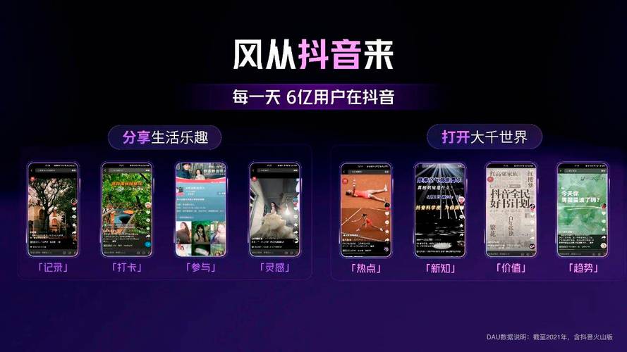 抖音免费粉丝增长新策略，解锁平台流量红利新路径