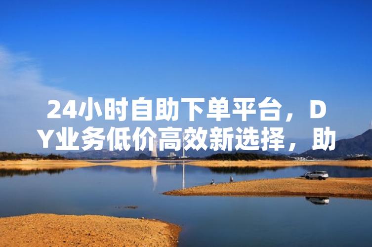 全网自助下单新突破,价格最低服务优,引领消费新风尚