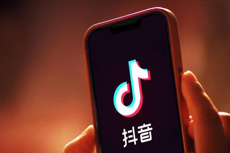 24小时高效服务!专业平台开启抖音流量加速新纪元