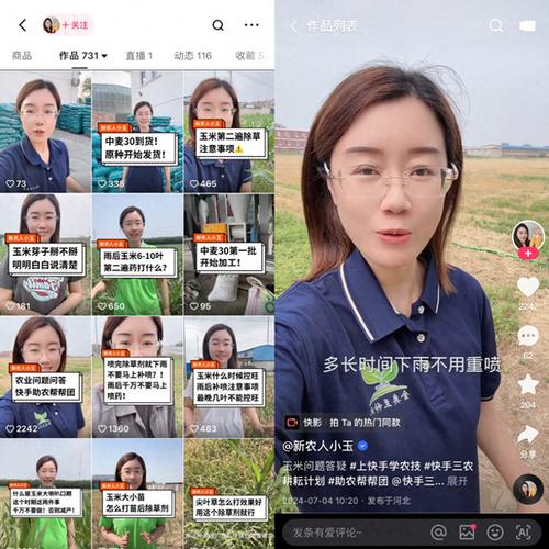 快手生态下的24小时自助下单平台,技术赋能与行业合规性深度解析