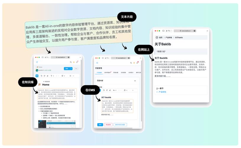 点赞网站平台,数字时代用户互动生态的革新与行业价值重构