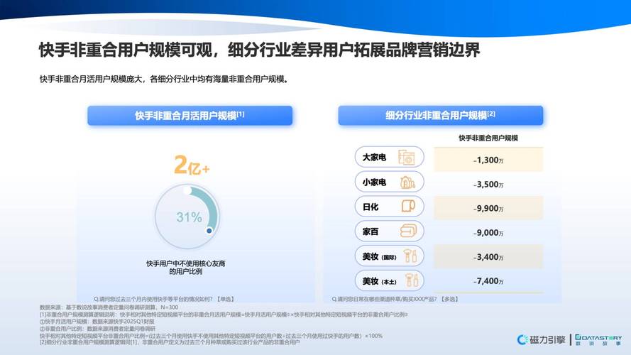 快手点赞运营,解码短视频生态下的用户互动增长策略