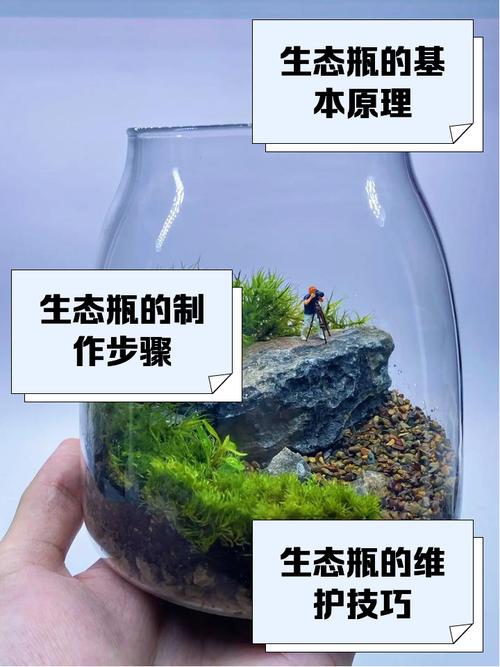 生态观察，1万+浏览量仅获30赞背后的流量转化困境与行业启示