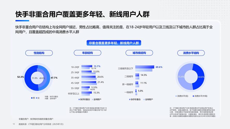 快手加粉平台,行业生态解析与增长策略深度探讨