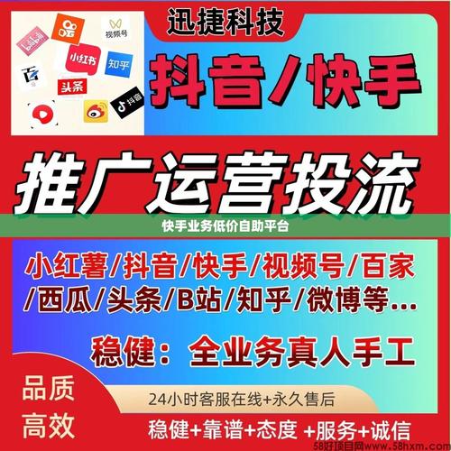 快手自助购买平台在线,数字营销时代下的流量变现新范式