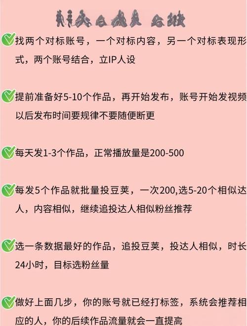 快手账号运营策略解析,如何高效突破1000粉丝增长瓶颈