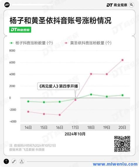 抖音粉丝业务惊现行业最低价,服务品质与价格双优引关注