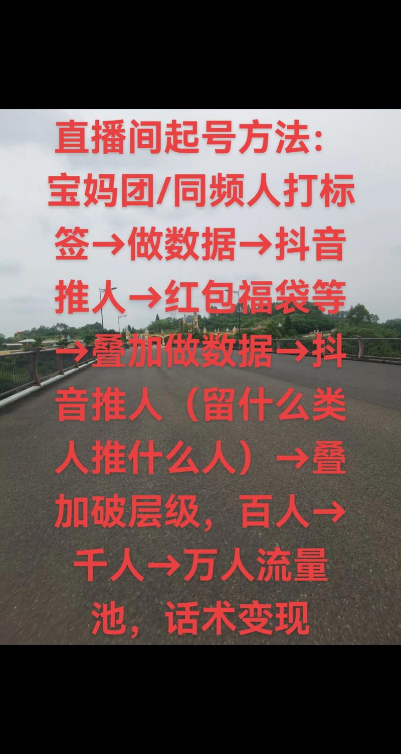 抖音点赞下单平台在线服务兴起,助力创作者流量变现新路径