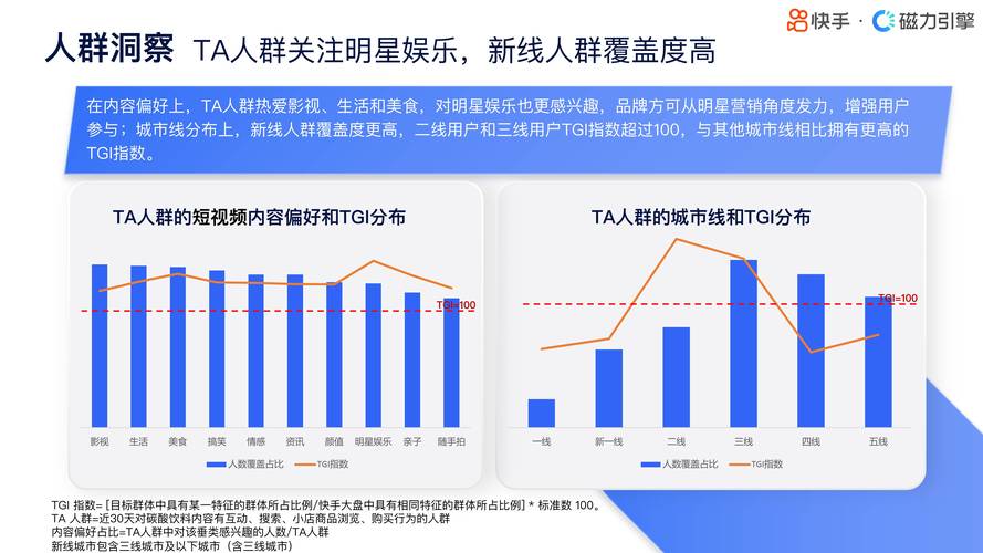 快手粉丝业务24小时运营模式解析，行业趋势与增长策略