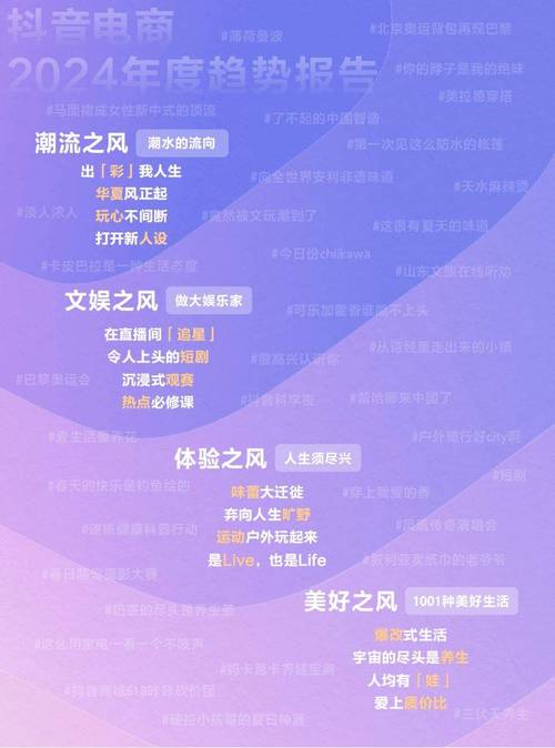 抖音粉丝经济新突破,24小时高效下单模式引领流量变现新趋势