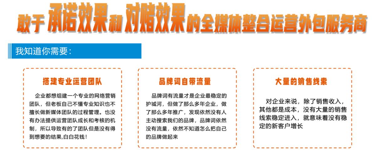 抖音业务网站平台崛起,赋能品牌营销,开启数字化新篇章