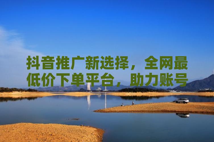 抖音粉丝增长新突破,全网最低价服务助力账号快速崛起