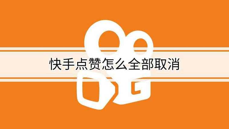 快手点赞网址平台-快手作品10个点赞网站