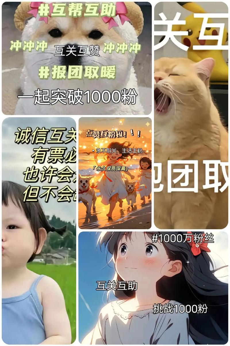 免费涨1000粉丝软件-抖音粉丝网址平台