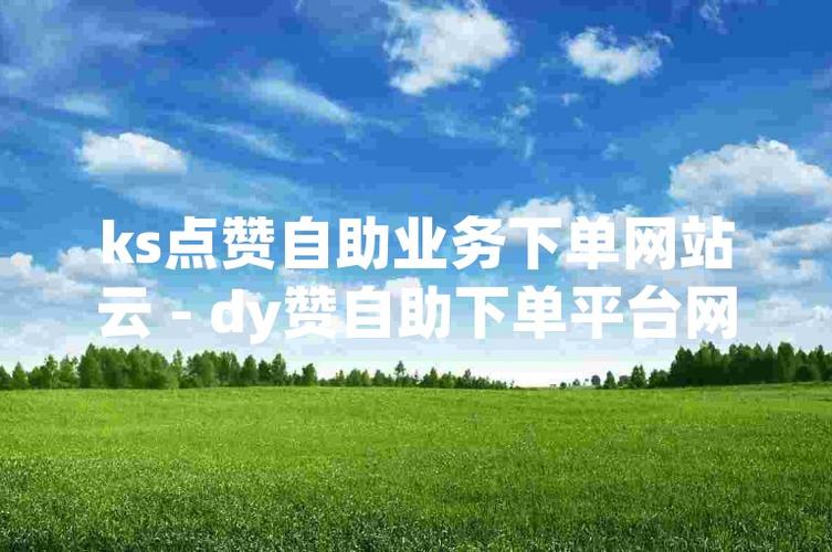 ks作品粉丝业务-ks点赞播放量业务
