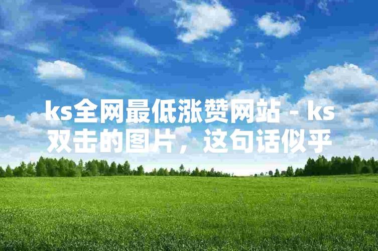 ks赞10000只需一毛-快手便宜粉丝网站