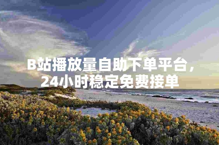 dy24小时自助服务平台-dy业务低价自助平台超低价 秒到账-dy业务低价自助平台超低价 秒到账
