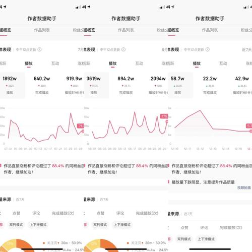 快手1000粉丝-从零到千粉的成长之路与变现秘籍