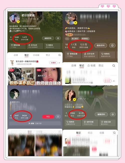 低价涨粉平台-揭秘背后的真相与风险,小心别踩坑!