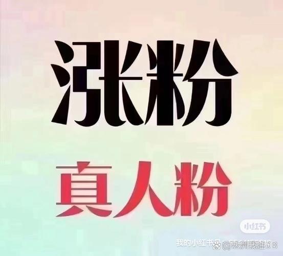 快手粉丝1元100赞-揭秘低价涨粉背后的真相与风险