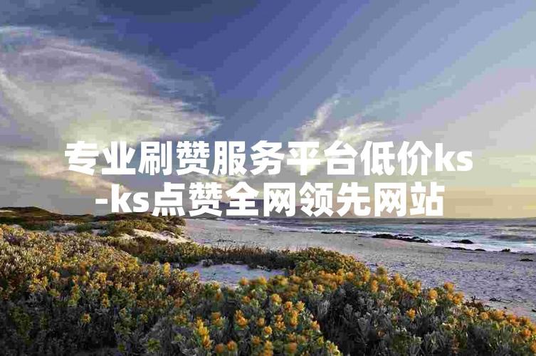 ks0.1元一万赞平台-揭秘低价点赞背后的真相与风险
