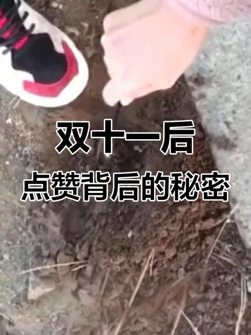 涨点赞1元1000个点赞-揭秘低价点赞背后的真相与风险