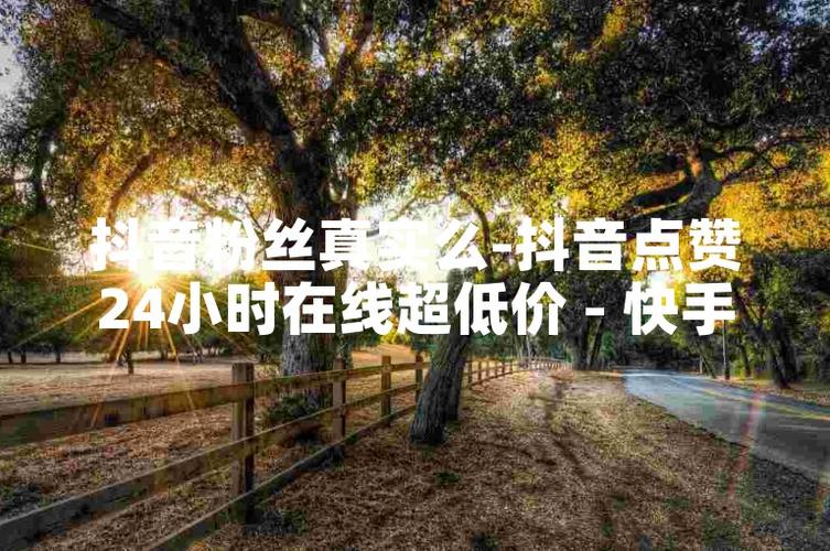 ks点赞一元1000-揭秘低价点赞背后的真相与风险