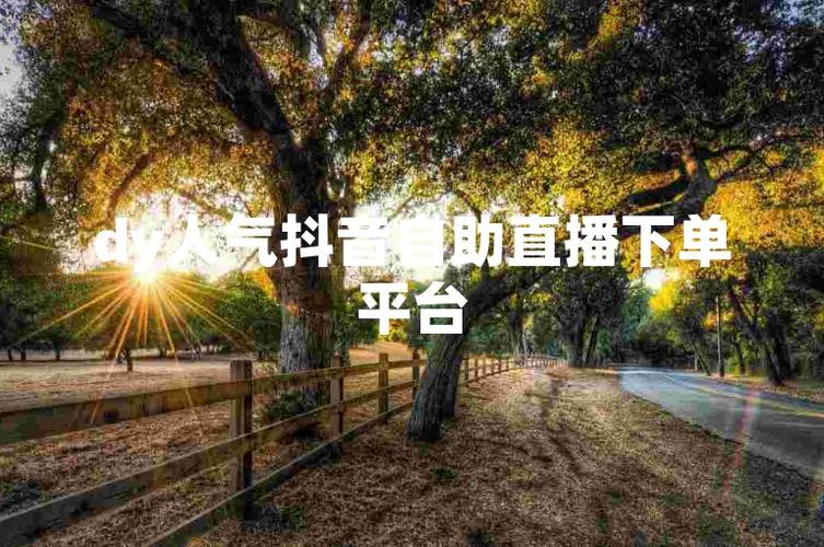 dy24小时粉丝下单平台-抖音自助平台