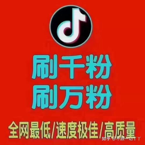 抖音业务抖音买粉丝-抖音粉丝下单自助平台