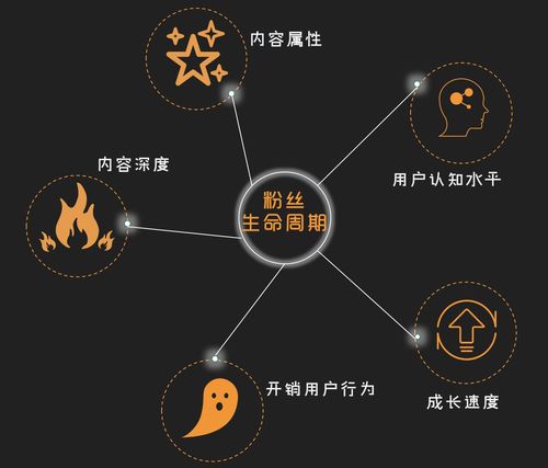 快手粉丝经济新生态,解析粉丝下单行为背后的行业逻辑与增长机遇