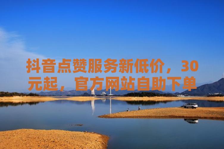 抖音自助平台业务下单新突破,价格优势引领行业新风尚