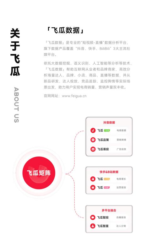 深度剖析,抖音粉丝激增,为创作者带来哪些实质性好处?
