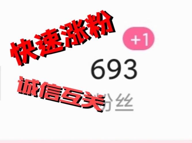 标题：小红书粉丝网站搭建指南：从0到1打造高粘性粉丝生态圈，让你的内容价值裂变式增长