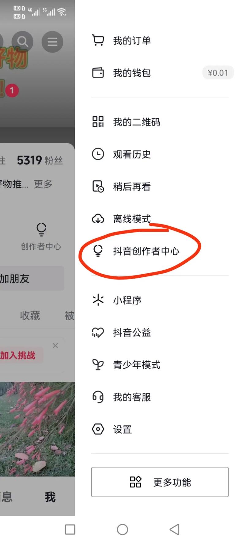 如何利用抖音官方资源，高效买粉丝