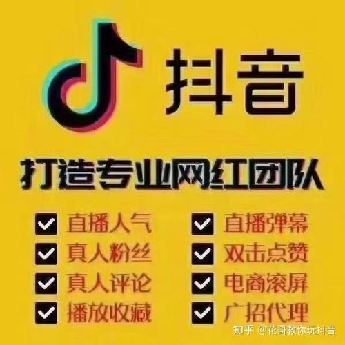 专业抖音粉丝购买,让你的账号更具吸引力
