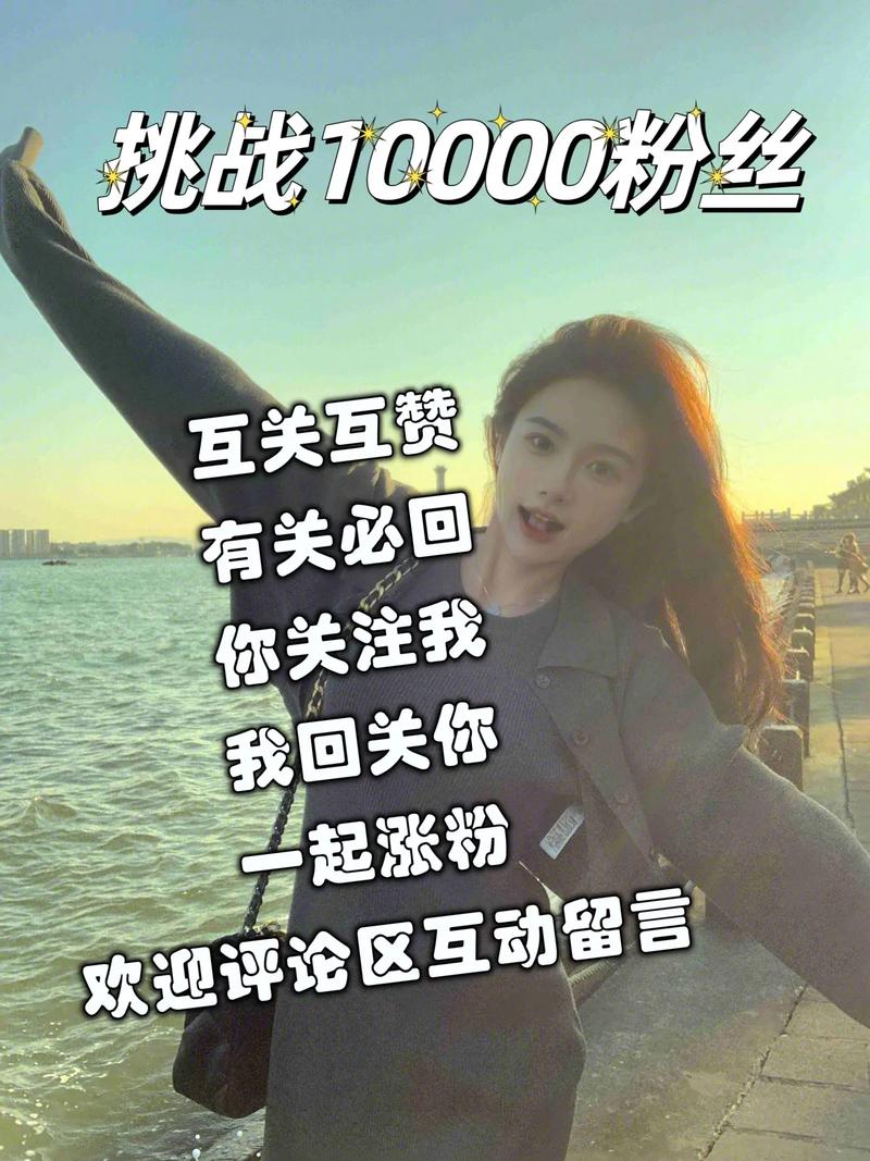 专业抖音粉丝购买,让你的账号更具吸引力
