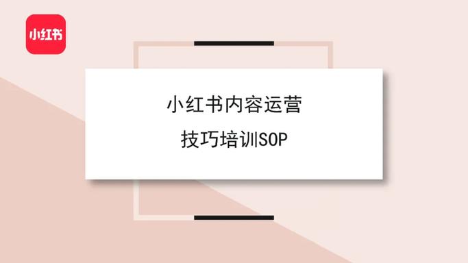 标题:从0到10w+粉丝!小红书爆款账号养成全攻略:流量密码+实战技巧大公开