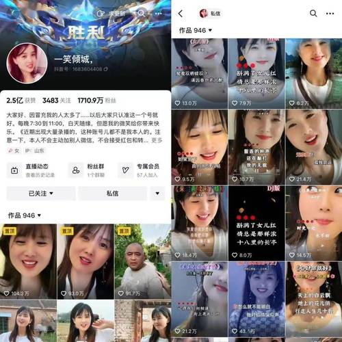 抖音粉丝购买平台,让你的账号脱颖而出