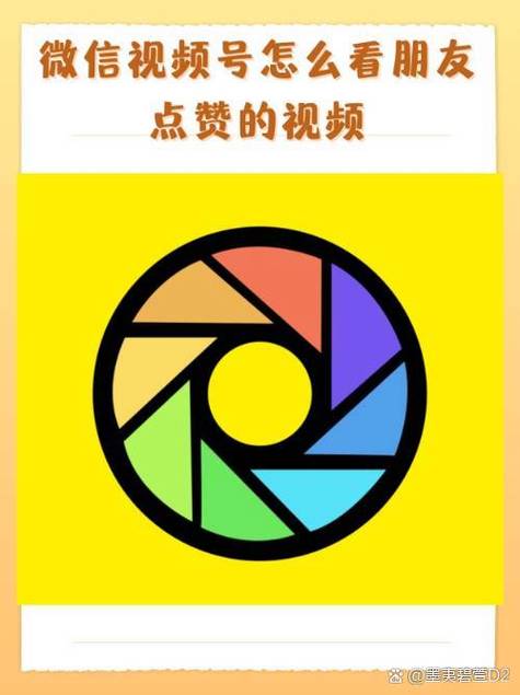 独家分享：如何用自动点赞功能助力视频号飞速成长？