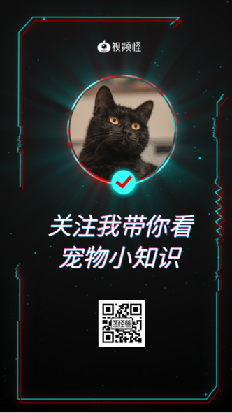 独家爆料：神秘网站助你轻松在抖音获得更多点赞关注，不容错过哦！