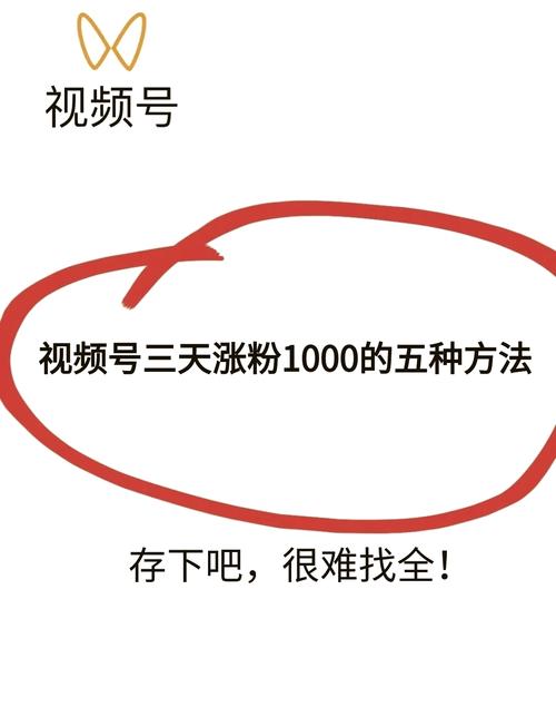 标题：揭秘视频号日增百粉核心技巧：从0到1000粉的实战攻略与避坑指南